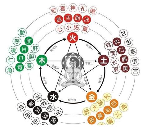 五行 水生木|深度解析五行生克的关系